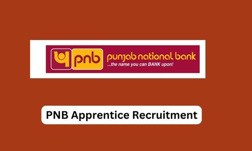 PNB Apprentice Recruitment